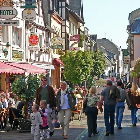 Zur Rheinschanz 2* Bad Honningen