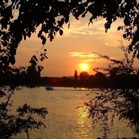 Zur Rheinschanz