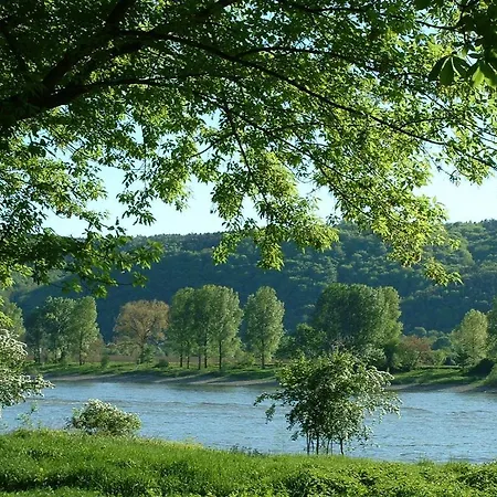 Zur Rheinschanz Guest house