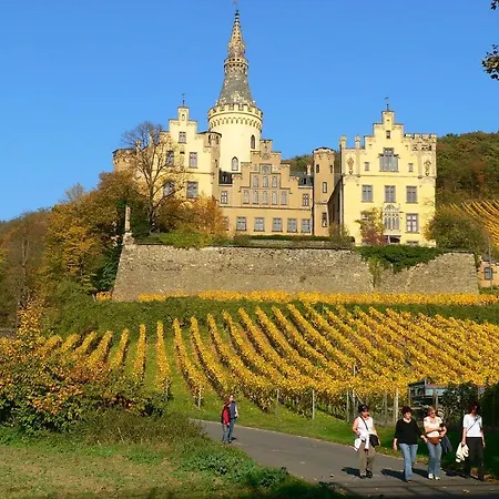 Zur Rheinschanz Guest house 2*