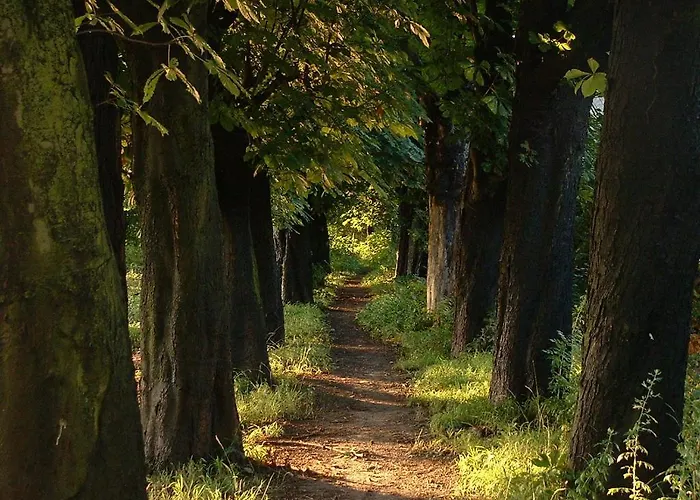 Zur Rheinschanz Casa de hóspedes Bad Honningen