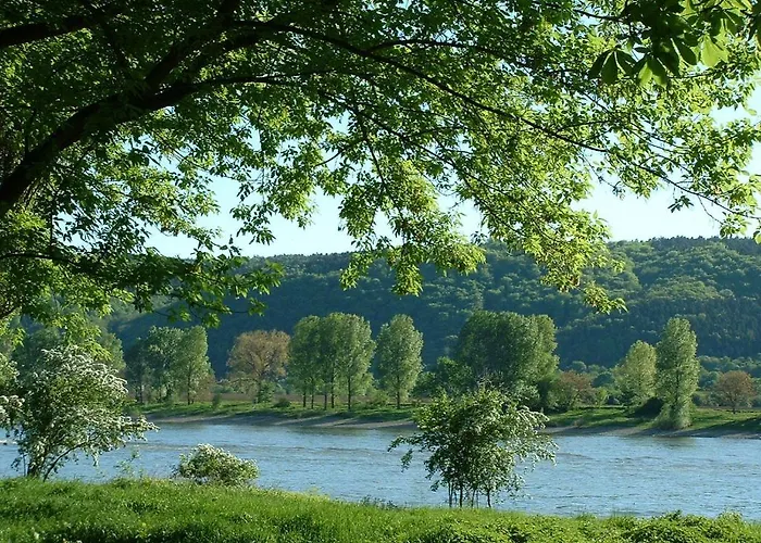 Zur Rheinschanz Casa de hóspedes