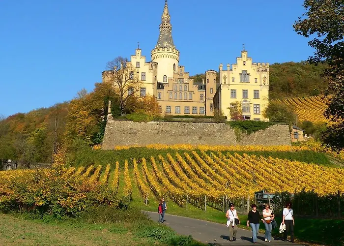 Zur Rheinschanz Casa de hóspedes 2*